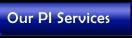 Our PI Services